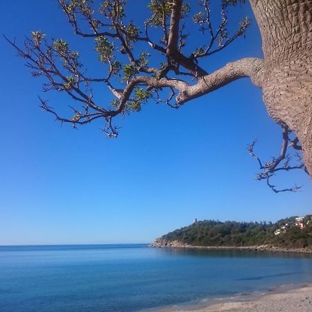 Ferienwohnung Un Po Di Relax A Pochi Passi Dal Mare! Àrbatax Exterior foto
