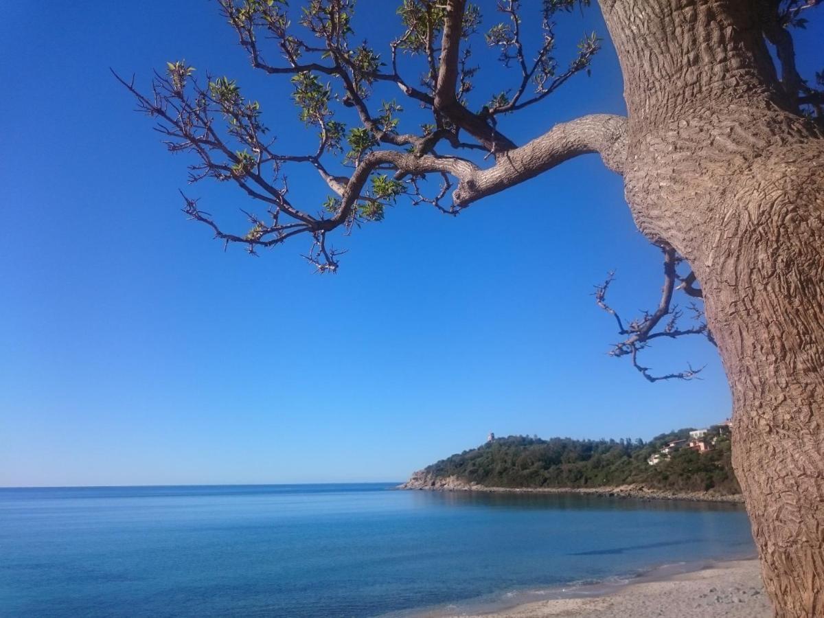Ferienwohnung Un Po Di Relax A Pochi Passi Dal Mare! Àrbatax Exterior foto