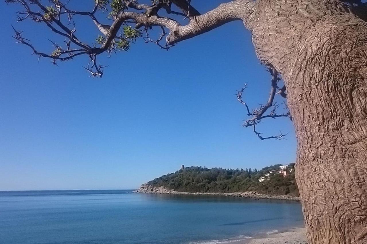 Ferienwohnung Un Po Di Relax A Pochi Passi Dal Mare! Àrbatax Exterior foto